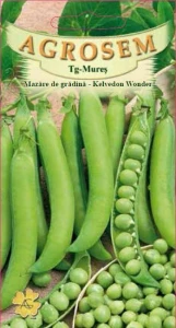Mazare de gradina Kelvedon Wonder 900g - Seminte soi timpuriu, mazare boabe foarte gustoase, Agrosem